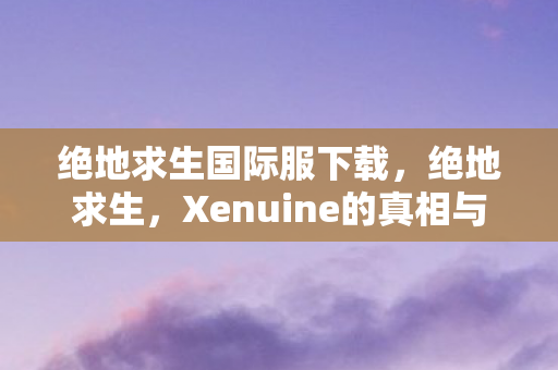 绝地求生国际服下载，绝地求生，Xenuine的真相与游戏界的版权挑战