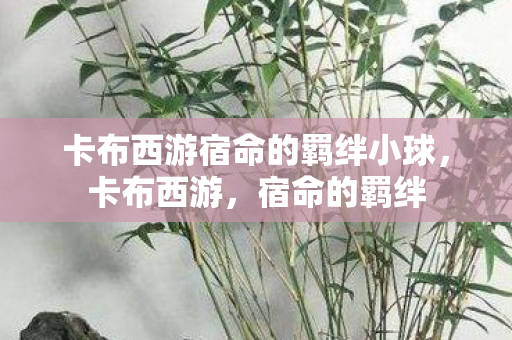 卡布西游宿命的羁绊小球，卡布西游，宿命的羁绊