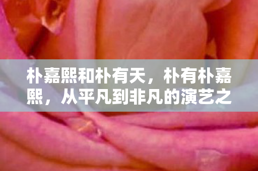 从平凡到非凡的演艺之路图片