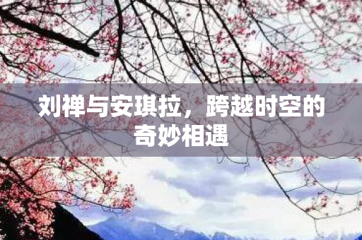 跨越时空的奇妙相遇图片