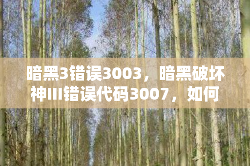 暗黑3错误3003，暗黑破坏神III错误代码3007，如何解决游戏启动问题
