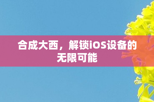 解锁iOS设备的无限可能图片