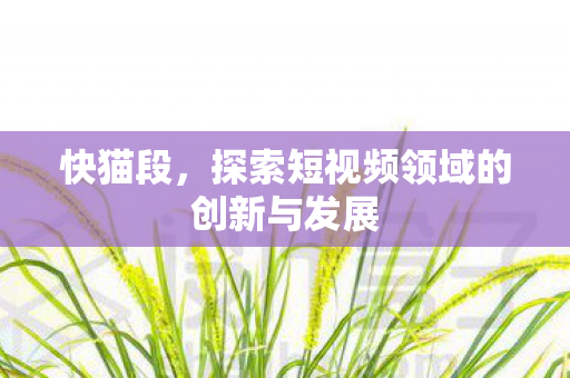 探索短视频领域的创新与发展图片