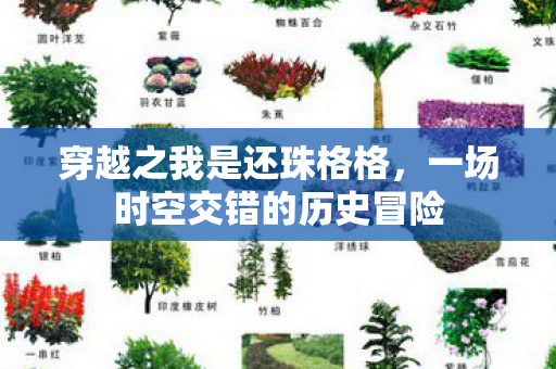 穿越之我是还珠格格，一场时空交错的历史冒险