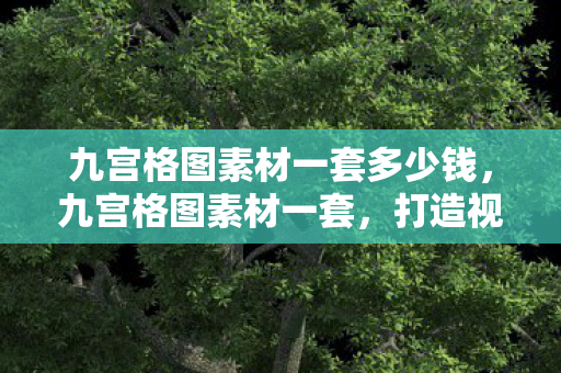 九宫格图素材一套多少钱，九宫格图素材一套，打造视觉冲击力，让设计更出彩