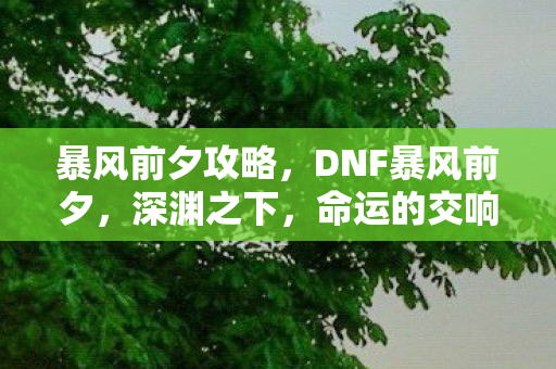 暴风前夕攻略，DNF暴风前夕，深渊之下，命运的交响曲