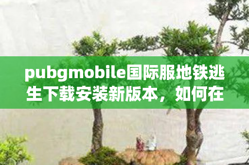 如何在海外下载PUBG Mobile国际服地铁逃生模式图片