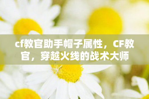 cf教官助手帽子属性图片