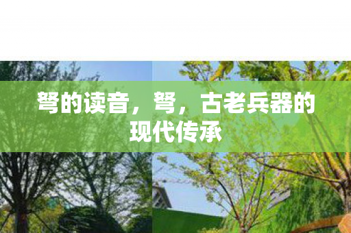 古老兵器的现代传承图片