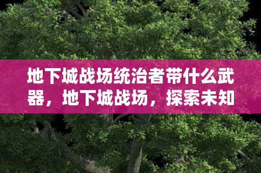 地下城战场统治者带什么武器图片