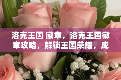 洛克王国徽章攻略图片