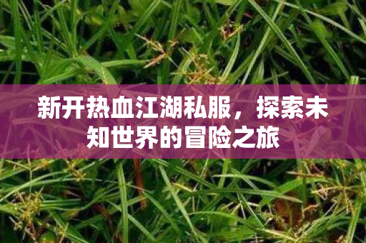 探索未知世界的冒险之旅图片