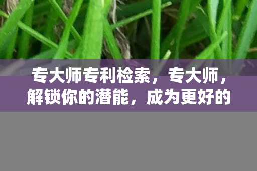 专大师专利检索图片