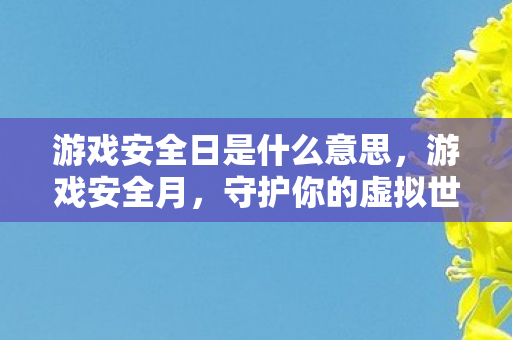 游戏安全日是什么意思图片