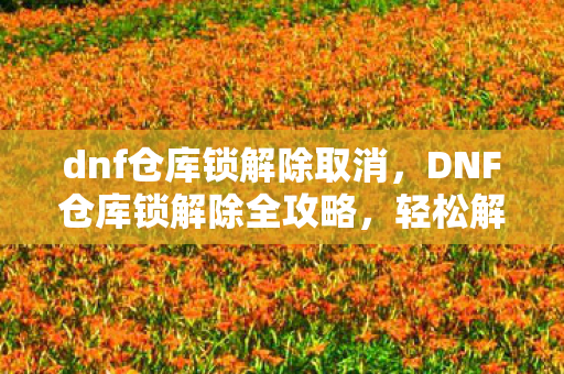 DNF仓库锁解除全攻略图片