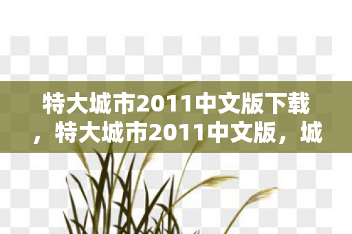 特大城市2011中文版下载图片