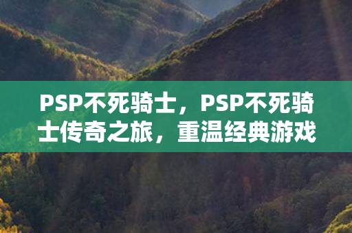 PSP不死骑士传奇之旅图片