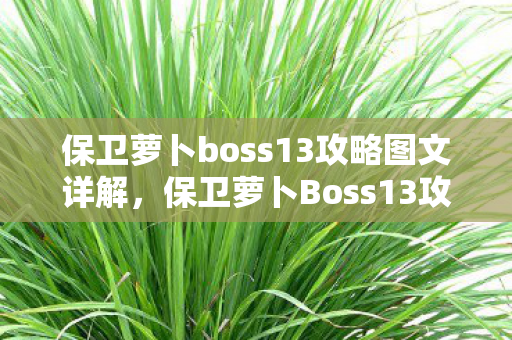 保卫萝卜boss13攻略图文详解图片