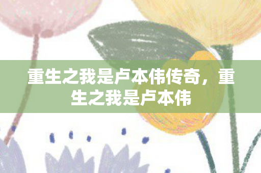 重生之我是卢本伟传奇，重生之我是卢本伟