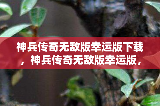 神兵传奇无敌版幸运版下载图片