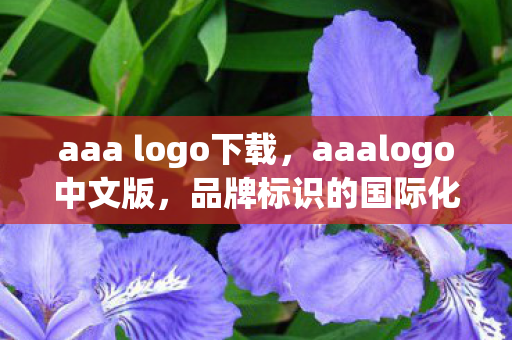 品牌标识的国际化与本土化融合图片