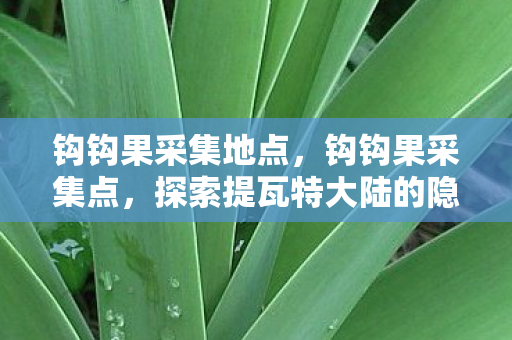 探索提瓦特大陆的隐秘宝藏图片