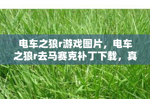 电车之狼r去马赛克补丁下载图片