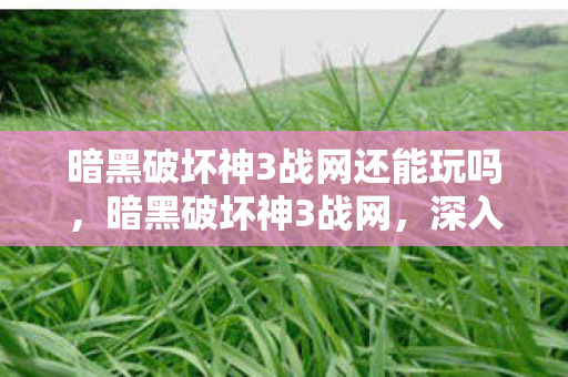 暗黑破坏神3战网还能玩吗，暗黑破坏神3战网，深入解析游戏魅力与独特之处