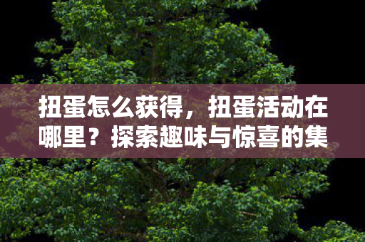 探索趣味与惊喜的集合地图片