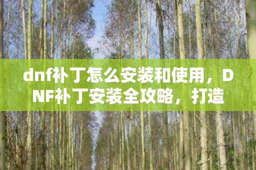 dnf补丁怎么安装和使用图片