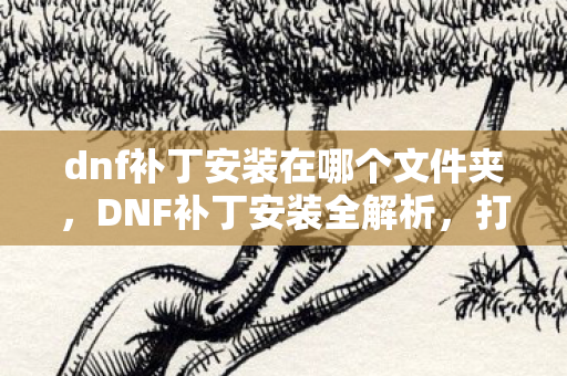 dnf补丁安装在哪个文件夹图片