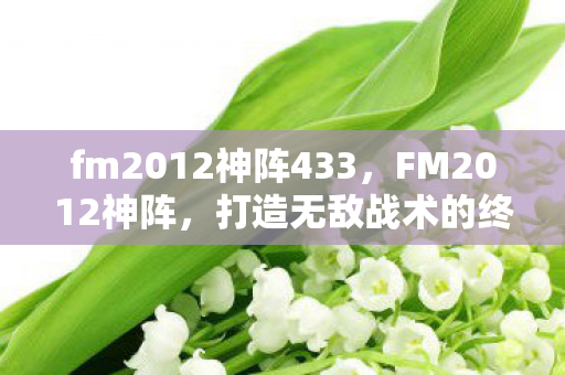 fm2012神阵433图片