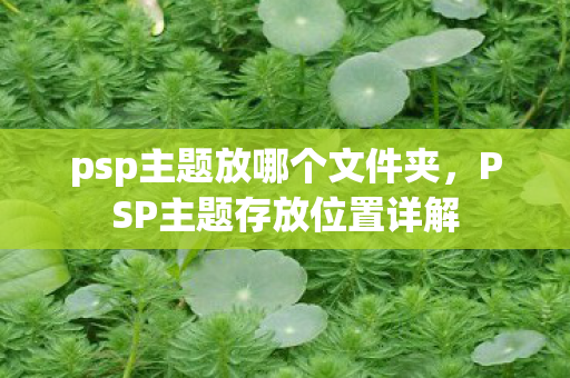 psp主题放哪个文件夹图片