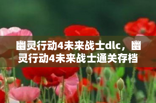 幽灵行动4未来战士通关存档分享图片