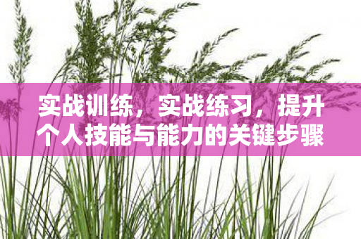 提升个人技能与能力的关键步骤图片