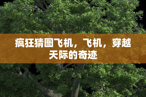 穿越天际的奇迹图片