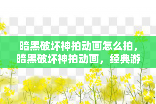 暗黑破坏神拍动画怎么拍图片