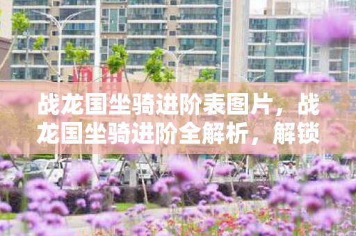 战龙国坐骑进阶表图片图片