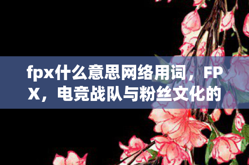 电竞战队与粉丝文化的交汇点图片