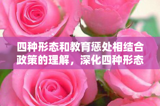 深化四种形态与教育惩处相结合的实践探索图片