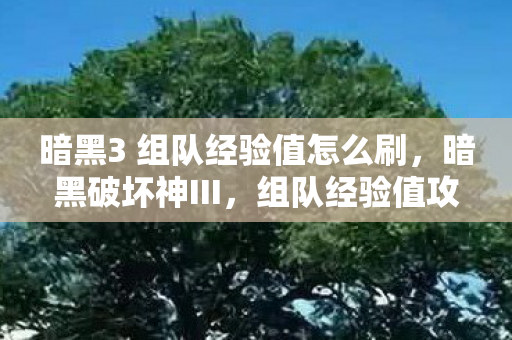 暗黑3 组队经验值怎么刷，暗黑破坏神III，组队经验值攻略