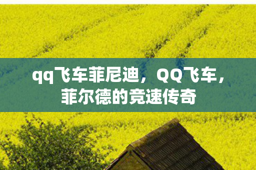 菲尔德的竞速传奇图片