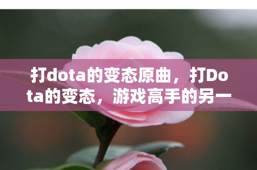 打dota的变态原曲图片