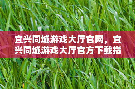 宜兴同城游戏大厅官方下载指南图片