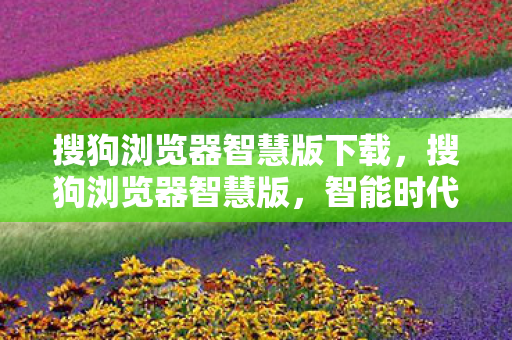 搜狗浏览器智慧版下载图片