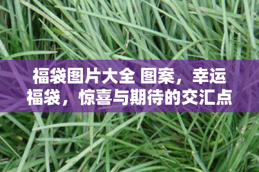 福袋图片大全 图案图片