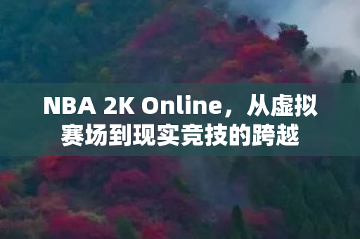 NBA 2K Online，从虚拟赛场到现实竞技的跨越
