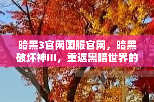 暗黑3官网国服官网，暗黑破坏神III，重返黑暗世界的冒险之旅