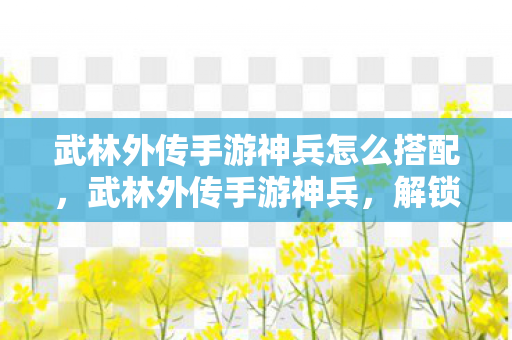 武林外传手游神兵怎么搭配图片