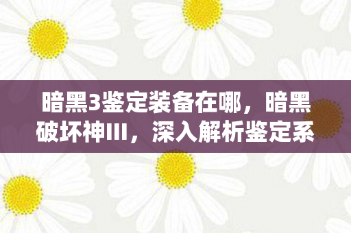 暗黑3鉴定装备在哪，暗黑破坏神III，深入解析鉴定系统的重要性与策略